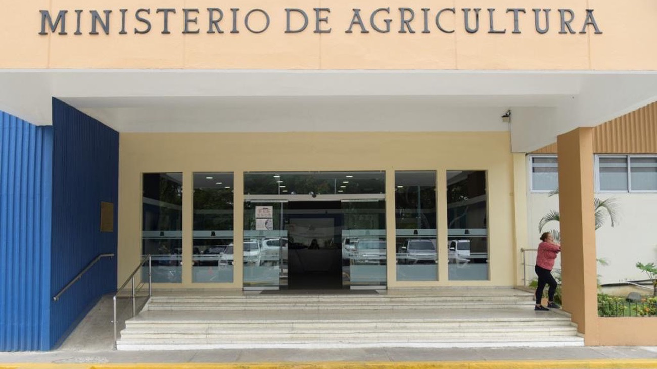 Ministerio de Agricultura adopta una serie de medidas para ampliar y fortalecer la exportación de mangos hacia Europa y los Estados Unidos